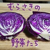 紫の野菜たち